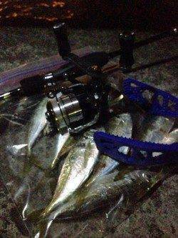 釣りにくい状況の中1時間で13匹！南港アジング釣果