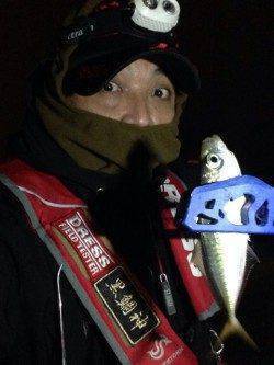 大阪南港でのアジング釣行、かなり渋かった