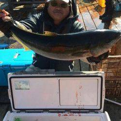 家島の海上釣り堀　青物の活性よくブリ&カンパチ&ハマチget！