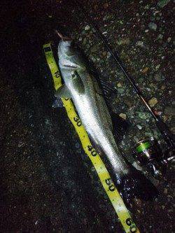 シーズン初メバリング ディープポイントの中層でアタリ