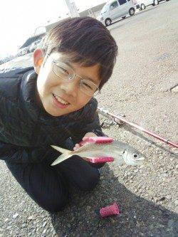 ぶらっと兵突に～いいサイズのアジで楽しめました