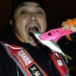 強風の中でアジング、22日大阪南港での釣果