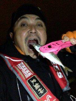 強風の中でアジング、22日大阪南港での釣果