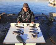 【30日】黒島の磯のグレ釣果