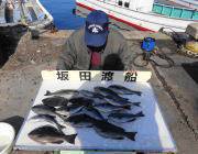 【1日】黒島の磯&筏でのヤエン釣果