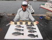 鷹島のカンドリ、オキアミフカセ　グレ大漁で…