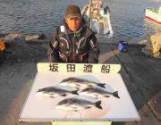 黒島の磯で良型チヌ～45㎝4枚！