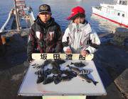 鷹島のカンドリでフカセでグレ23匹