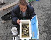 さけかすをエサにバリコの数釣り in 黒島…