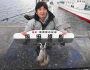 【14日】黒島の筏のヤエン釣果