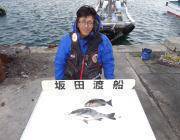 黒島の磯のフカセ釣りで年なしチヌ