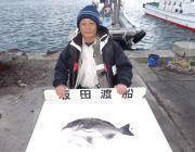 黒島の磯のフカセ釣りで年なしチヌ