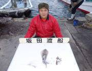 エギングでもアオリイカの釣果あり