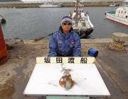 黒島の磯 ヤエンで1kgのアオリイカ