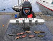 黒島の磯でのガシラ釣果