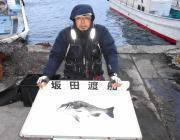 51.5㎝の年なしチヌをキャッチ！