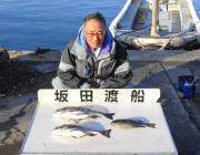 黒島の磯　フカセでのチヌ・グレ釣果