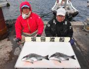 黒島の磯でオキアミフカセ釣り　チヌ43cm…