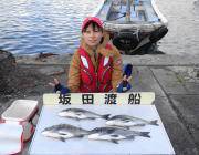 黒島の磯で40㎝オーバーのチヌ4枚♪