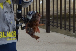 炬口漁港でファミリーフィッシング☆