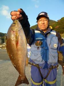 神谷沖一文字　カゴ釣りで小ダイ＆イサギの釣果