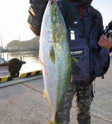 ルアーで青物狙い！神谷沖一文字内向きにて