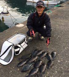 グレ良く釣れてました!(^^)!　渡船を利用してフカセ釣り！