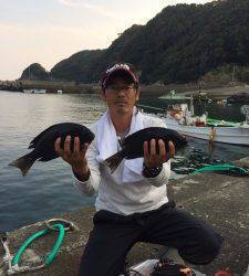 グレ良く釣れてました!(^^)!　渡船を利用してフカセ釣り！