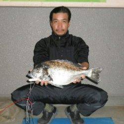 大丹生防波堤でチヌ53.3cm！