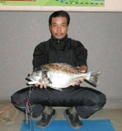 大丹生防波堤でチヌ53.3cm！