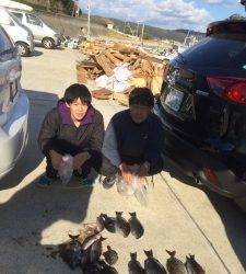 グレは喰い渋め?萩尾の磯でフカセ釣り釣果