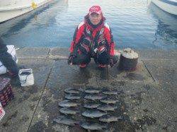 コレバイの釣果☆グレ大漁ゲット‼