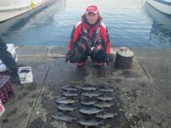 コレバイの釣果☆グレ大漁ゲット‼