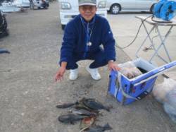 地のカンゴメ、フカセで35cmのグレの釣果…