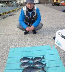 神谷沖一文字カゴ釣り釣果　グレのシーズンです