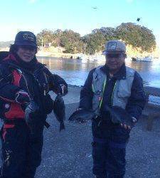 ぼちぼち釣れてました～萩尾の磯のフカセグレ