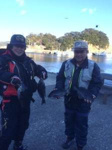 ぼちぼち釣れてました～萩尾の磯のフカセグレ…