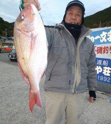 カゴ釣りで立派なマダイ！神谷沖一文字釣果