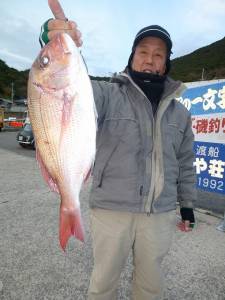 カゴ釣りで立派なマダイ！神谷沖一文字釣果