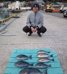 カゴ釣りで立派なマダイ！神谷沖一文字釣果
