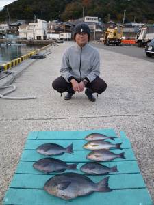 カゴ釣りで立派なマダイ！神谷沖一文字釣果
