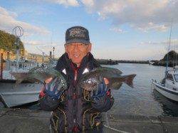 グレ好釣★アシカ&ウノウソでのフカセ釣果★