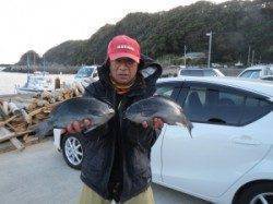 グレ、良く釣れて皆様ボウズ無しでした　萩尾の磯釣果