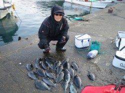 グレ大漁記録！良い釣り納めになりました！