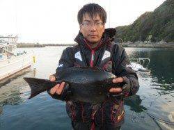 串本東部の磯、45.1cmのグレを頭に良型グレ♪