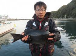 串本東部の磯、45.1cmのグレを頭に良型…