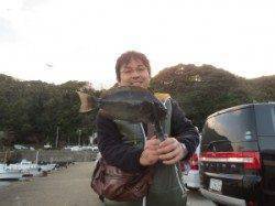 串本東部の磯、45.1cmのグレを頭に良型グレ♪