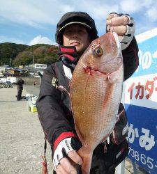 神谷一文字　カゴ釣りでマダイ＆サンバソウの釣果