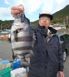 神谷一文字　カゴ釣りでマダイ＆サンバソウの釣果