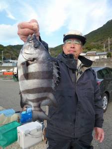 神谷一文字　カゴ釣りでマダイ＆サンバソウの釣果